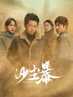 沙尘暴电视剧在线观看免费完整版
